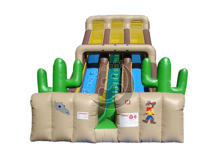 Cactus Inflatable Dry Slide FWD174