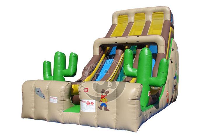 Cactus Inflatable Dry Slide FWD174