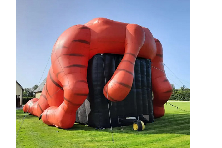 Attractive inflatable tiger dry slide FWD271