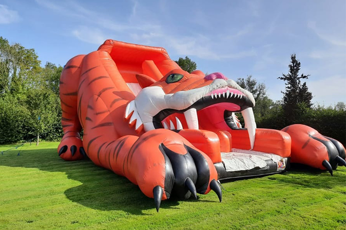 Attractive inflatable tiger dry slide FWD271