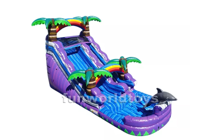 Purple dolphin water slides FWS347