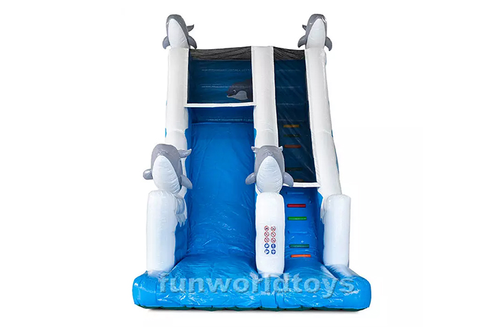 Cheap Custom Commercial Outdoor Dry Inflatable Slide FWD222