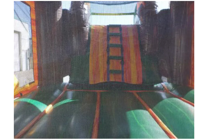 Inflatable Palm tree marble bounce house with dry wet slide FWZ306