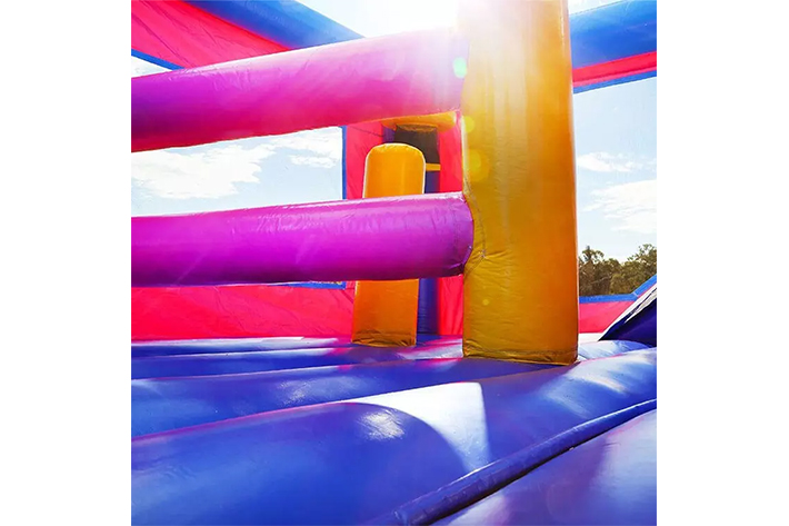 Cute dog bounce house with slide FWZ300