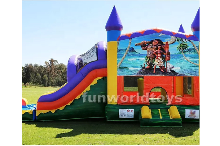 Different themed combo bounce house with slide FWZ299