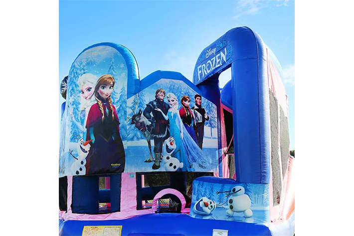 Frozen bounce house with slide FWZ325