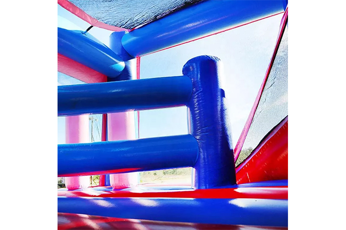 Frozen bounce house with slide FWZ325