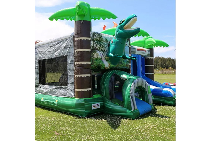 Dinosaur bounce house with inflatable slide FWZ321