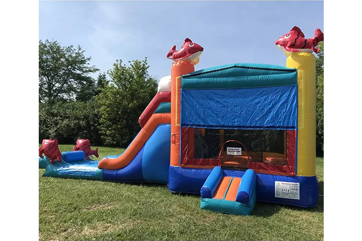 Cheap inflatable bounce house combo FWZ315