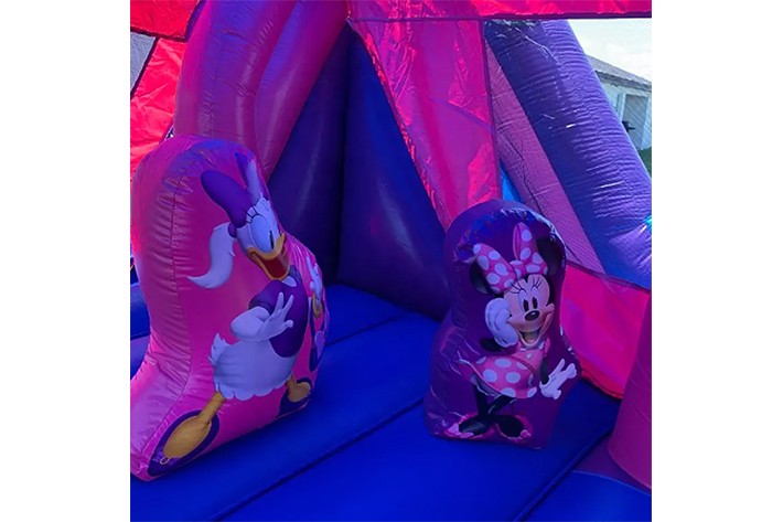 Cheap bouncy combo minnie jump bounce house FWZ313