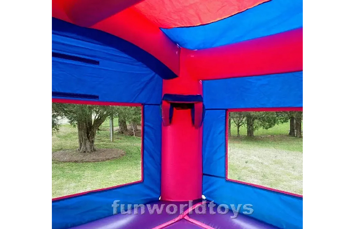 Hot Tiktok bounce house with slide FWZ336