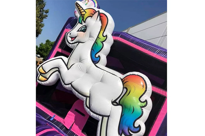 Unicorn bounce house with dry slide FWZ329