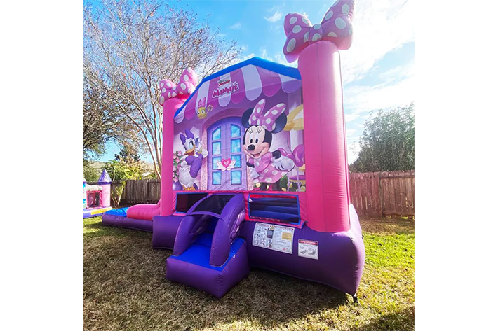 Lovely Inflatable bounce house with slide FWZ353