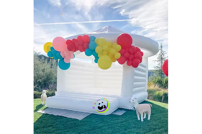 Wedding Party Inflatable Wedding Bouncer FWW44