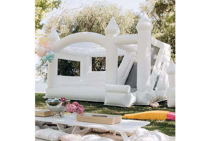 Commercial inflatable bouncy bounce FWW34