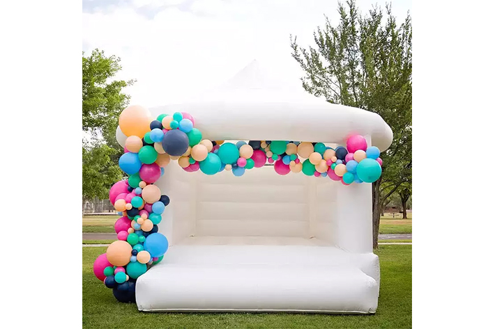 Custom bouncers jumping castles slide FWW26