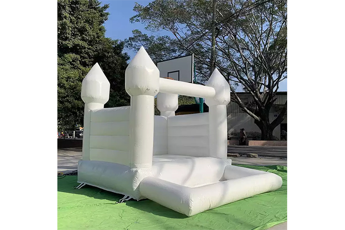 Custom bouncers jumping castles slide FWW26