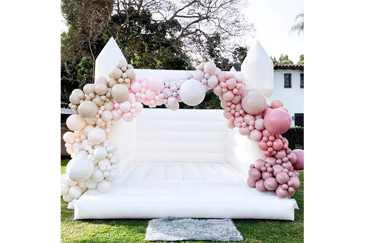 Commercial Inflatable Bounce House with Slide FWW25