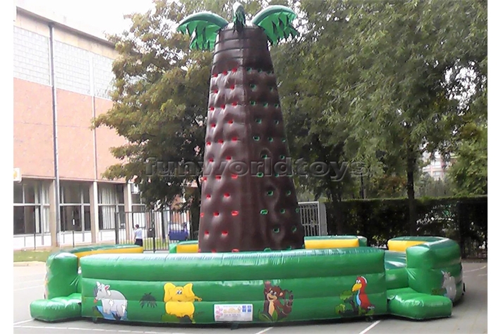 Safe Tropical Inflatable Rock Climbing Tower FWG14