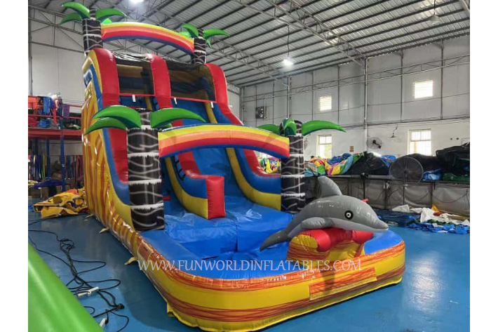 Dolphin Colorful Slide FWS419